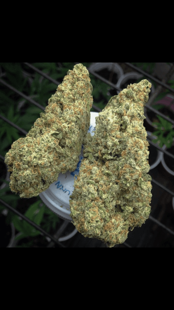 Dream cookie 6