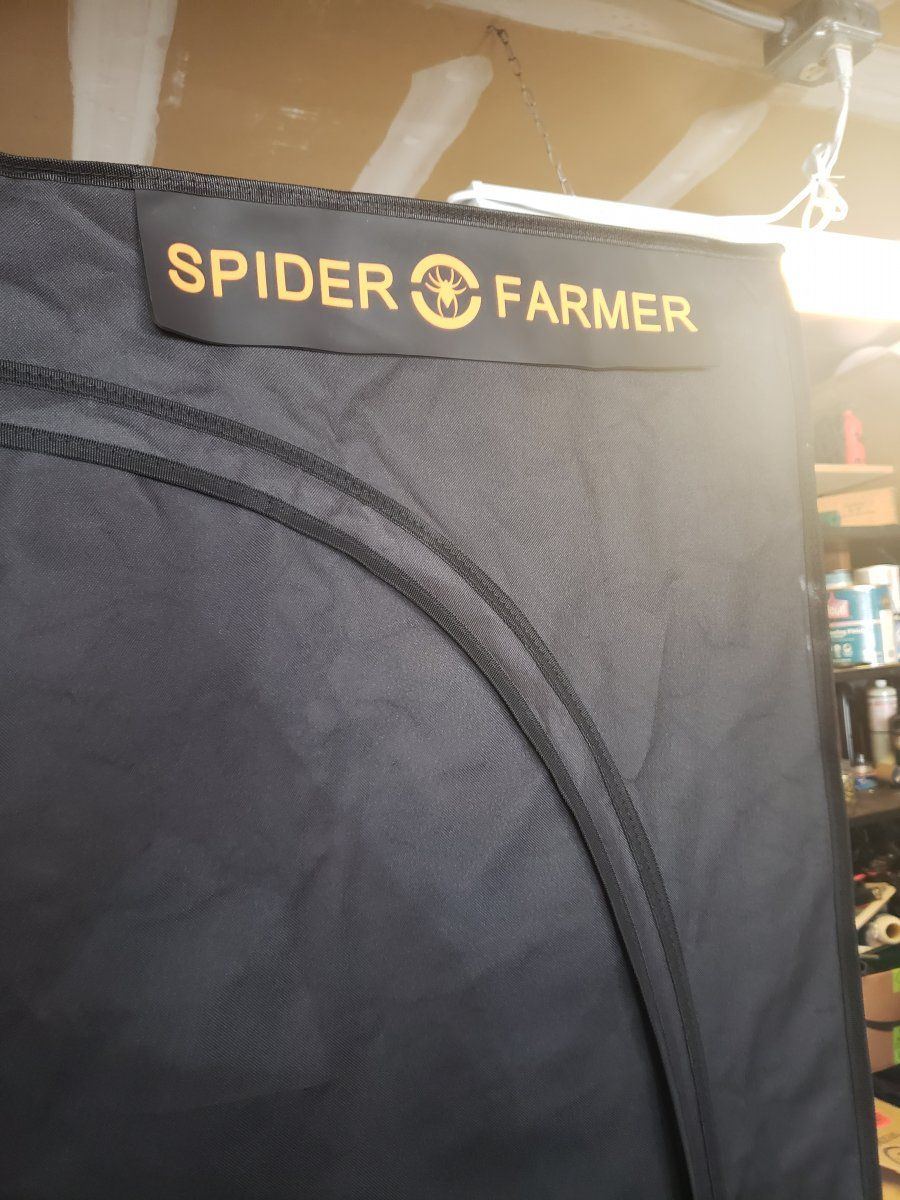 Dreamnfox with new spider farmer tent