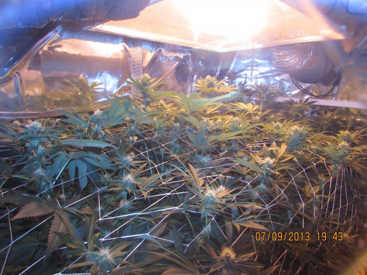 Dried and such 010