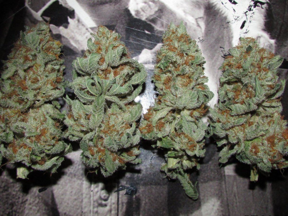 Dried and such 029