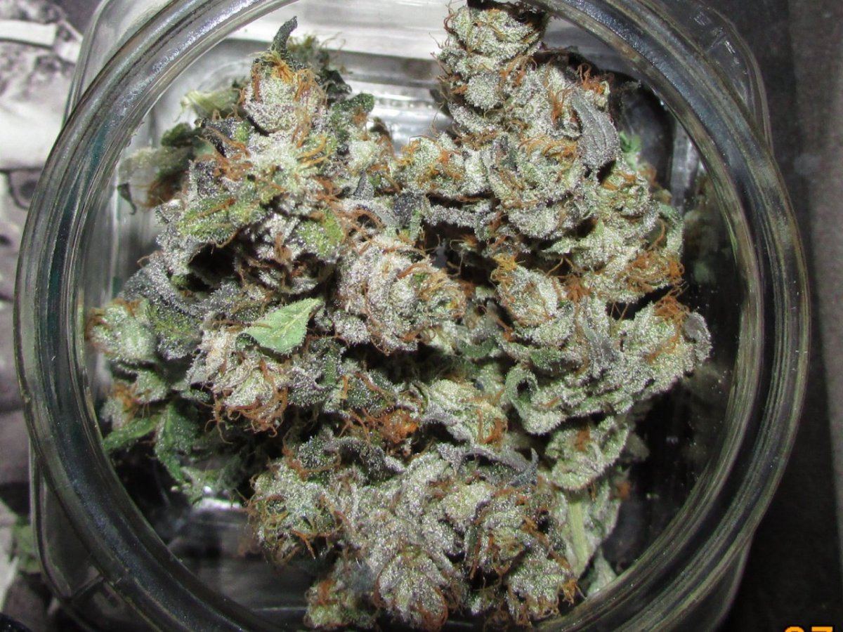 Dried and such 031