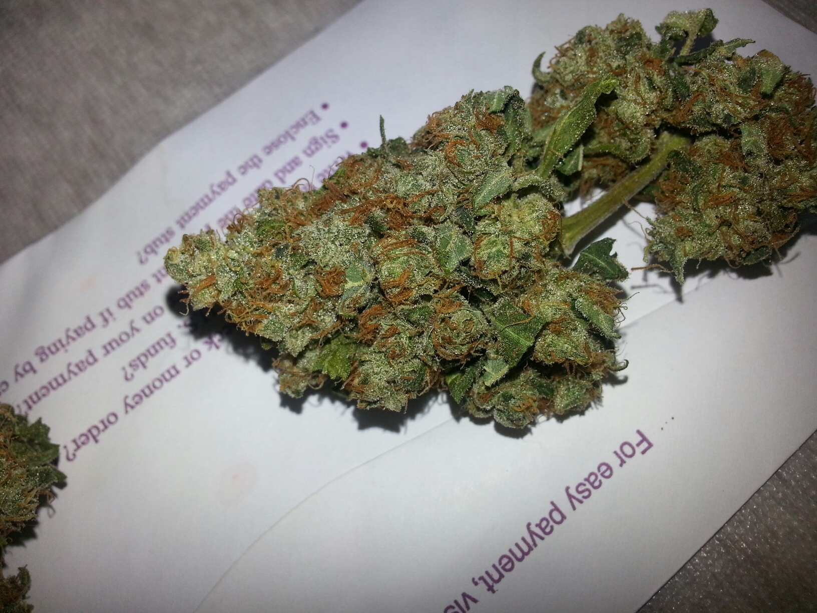 Dried Bud