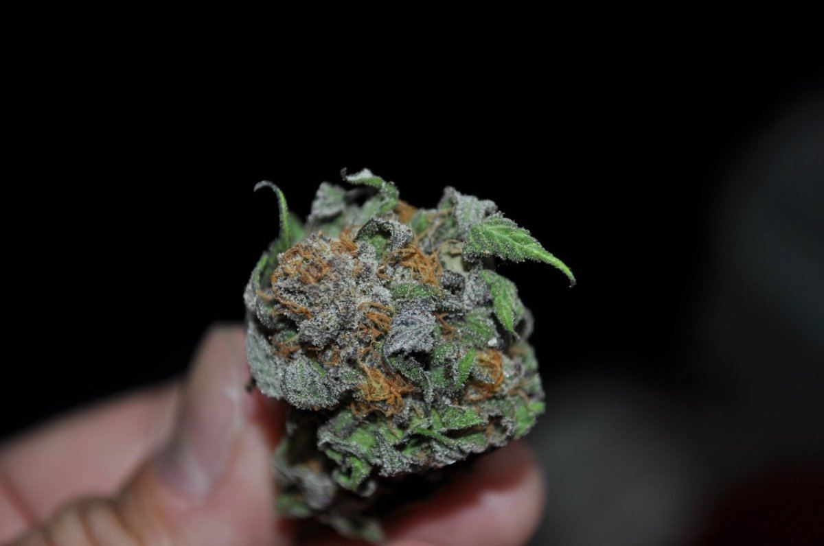 Dried gdp