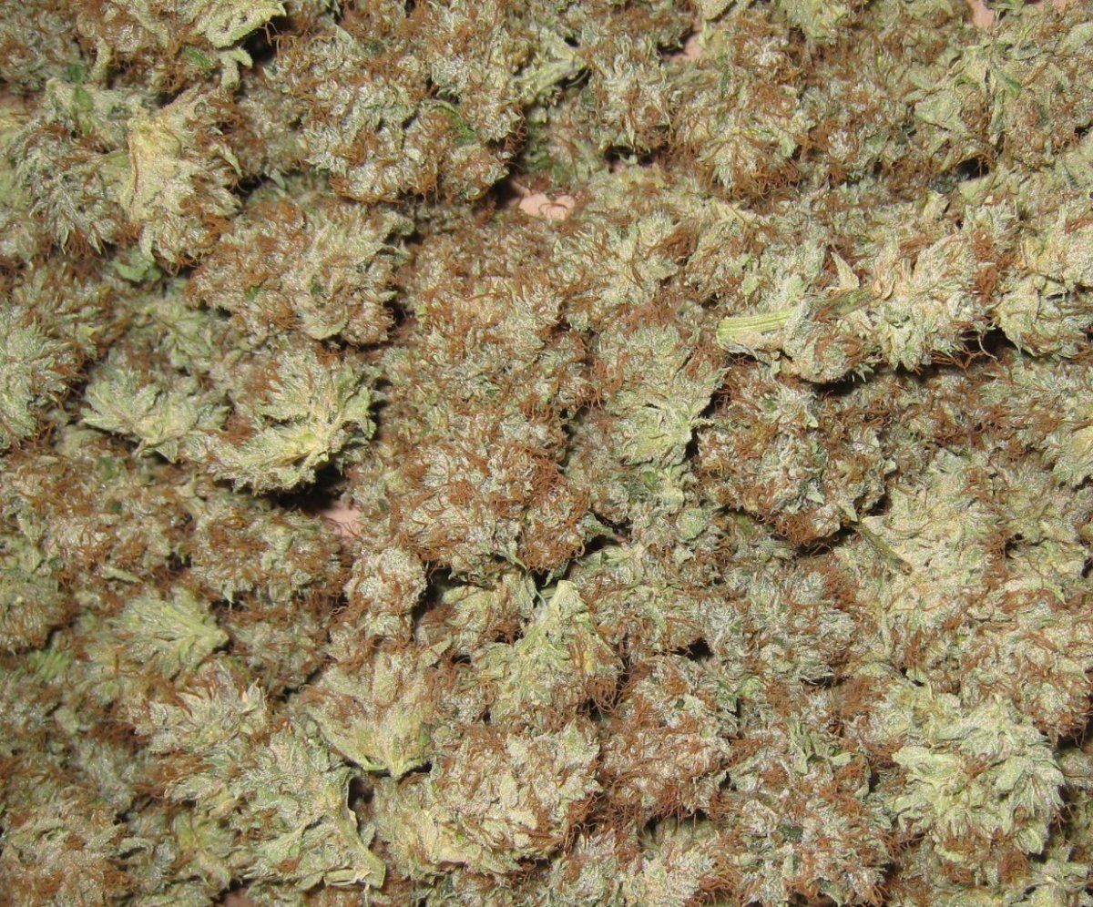Dried WiFiA1