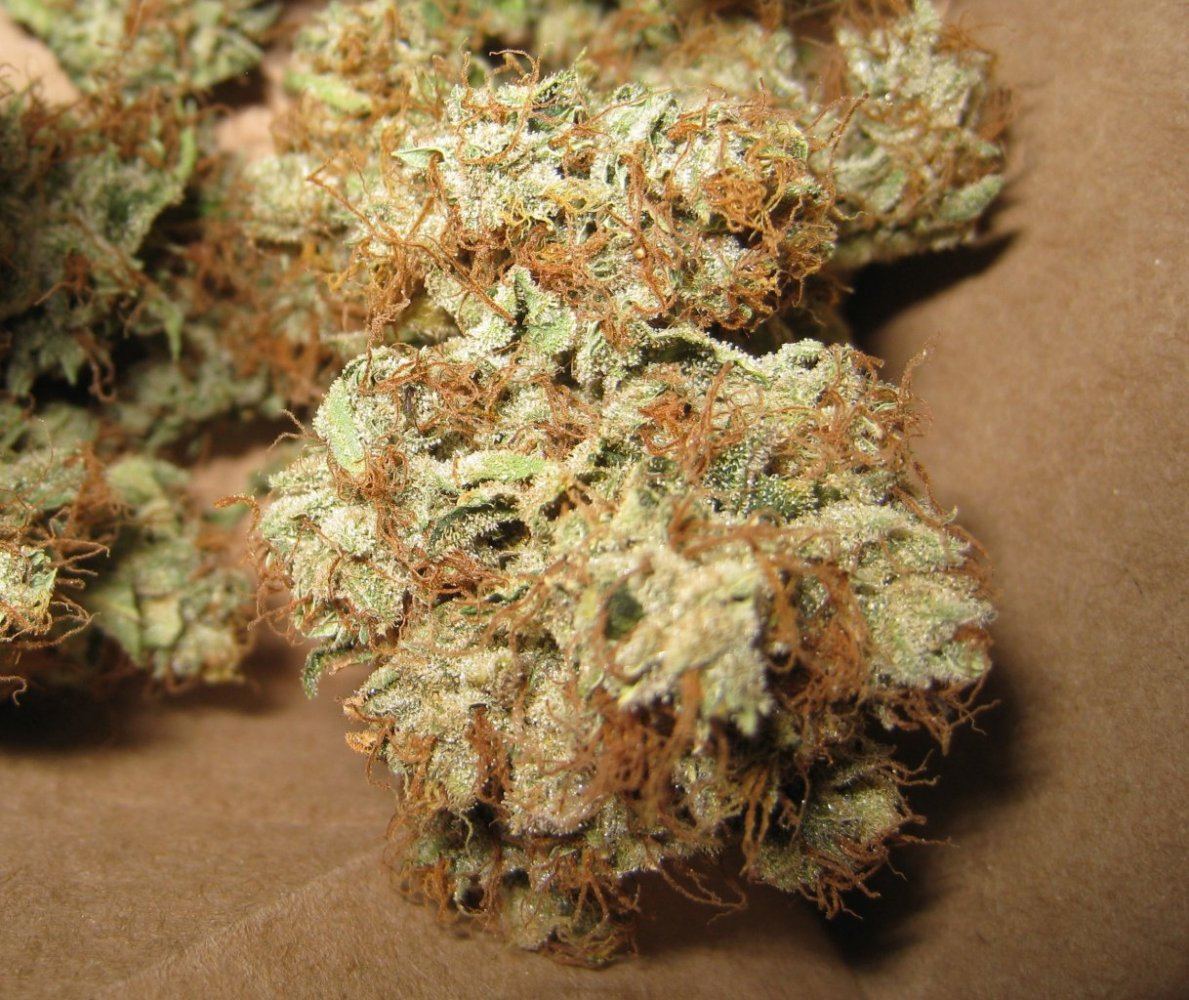 Dried WiFiA2