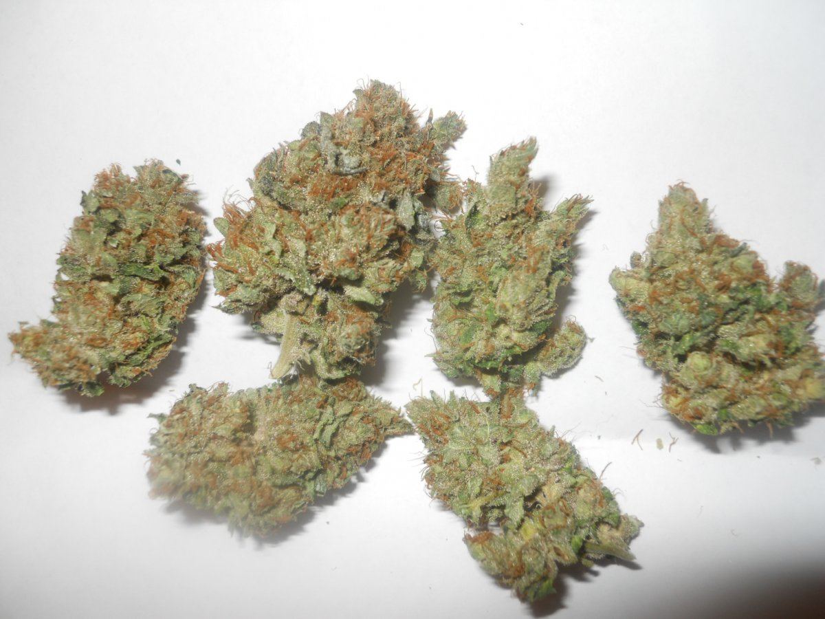 Dried wk001