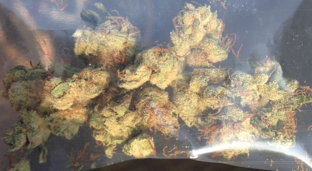 DriedNevillHaze