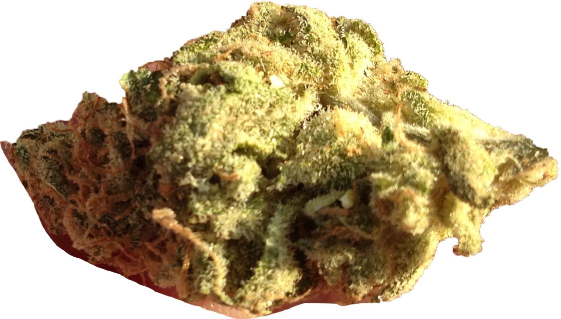 DriedP sun