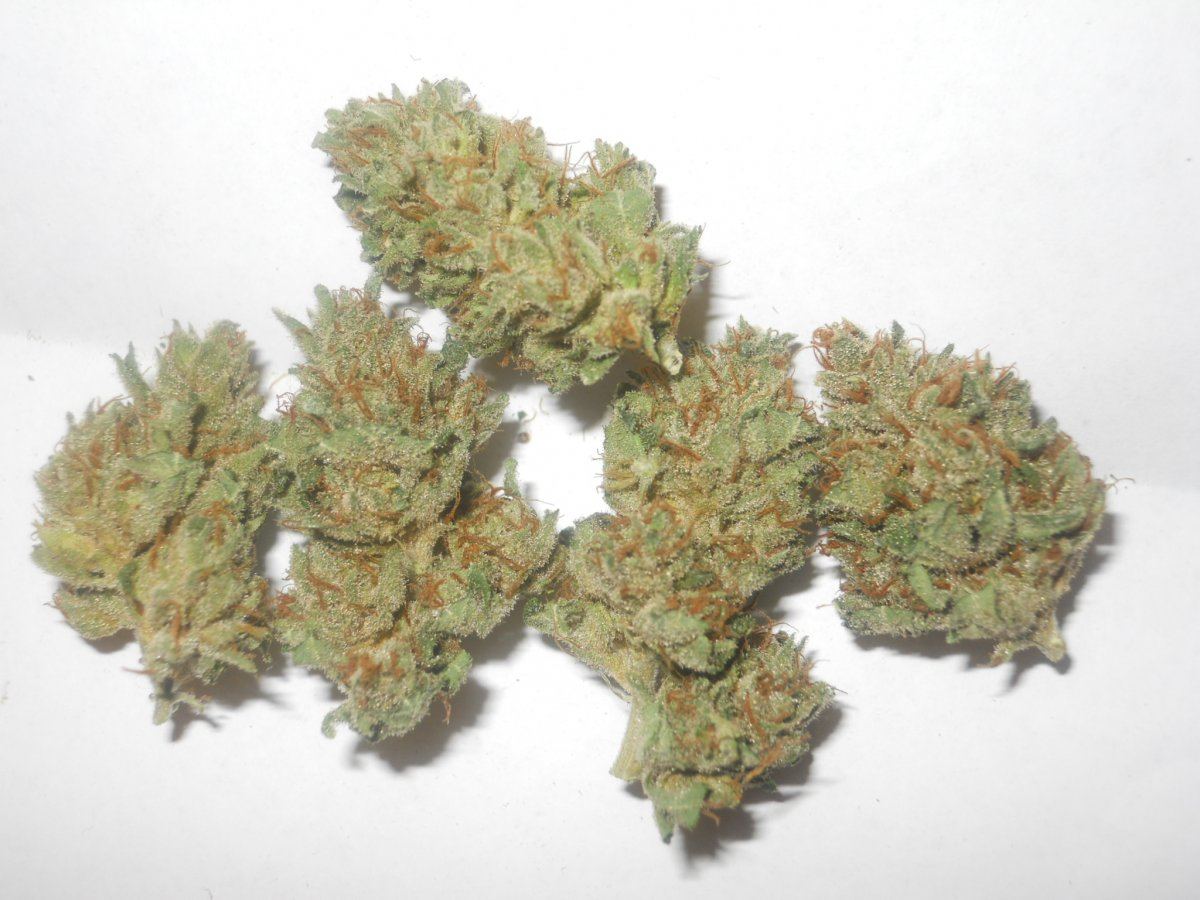 Dry 004