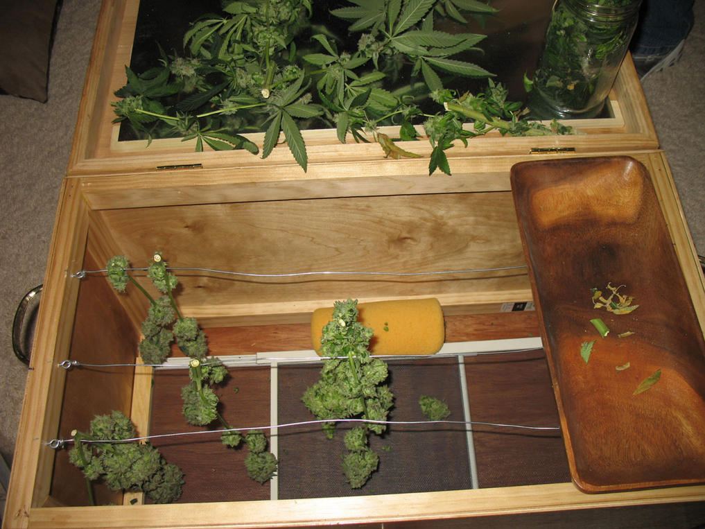 Dry box
