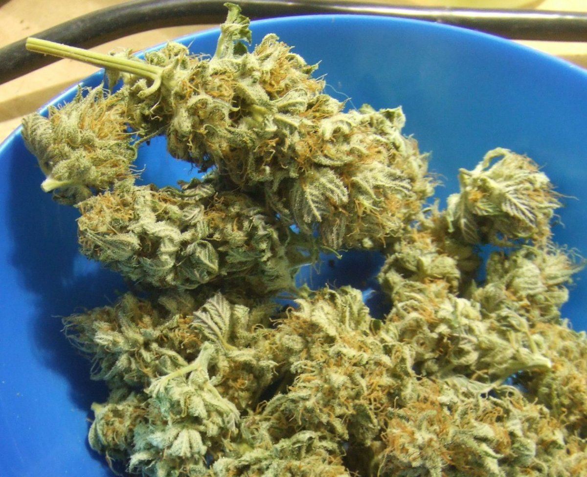 Dry cenex1