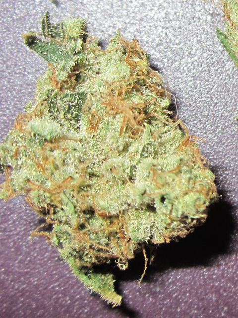 Dry nuggz 006