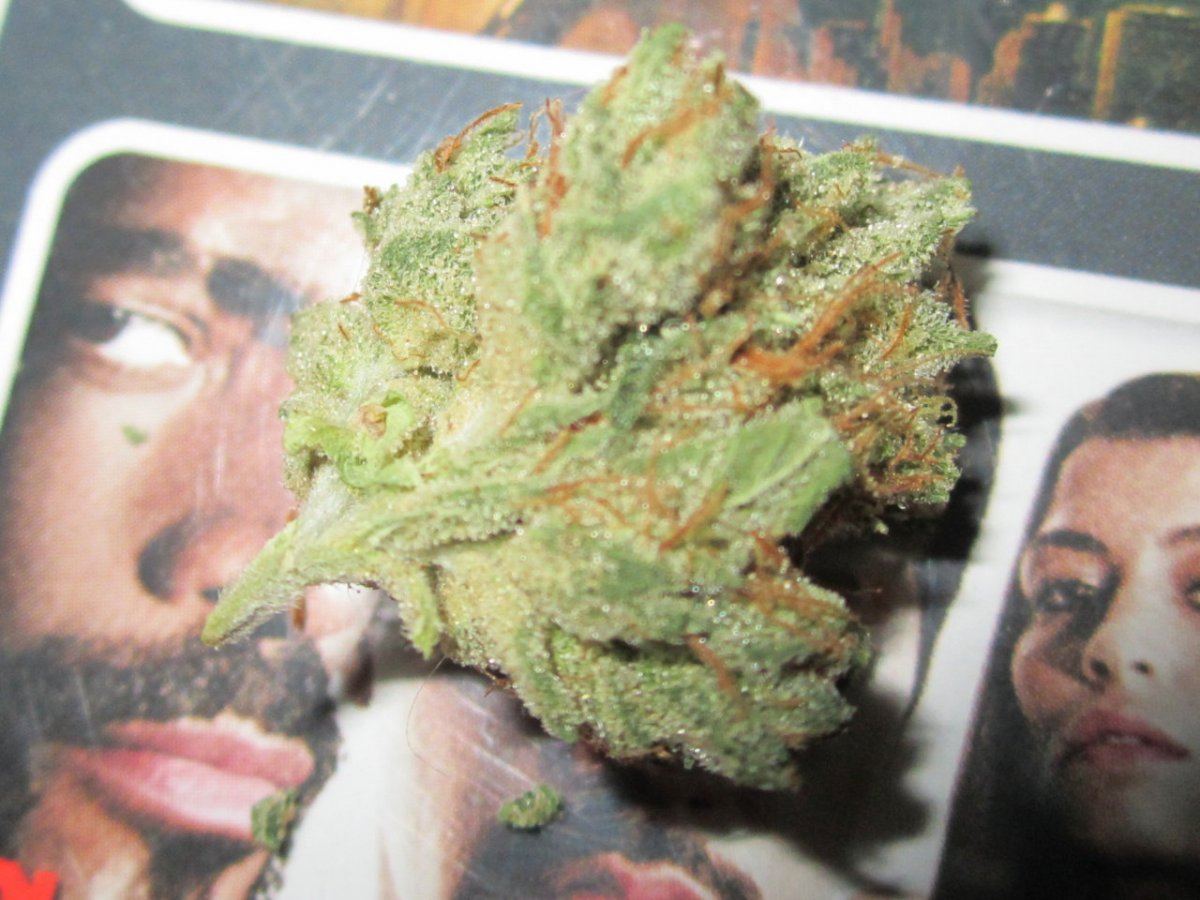 Dry nuggz 016