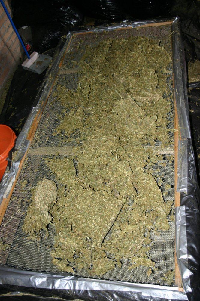 Dry sift on a large scale 3