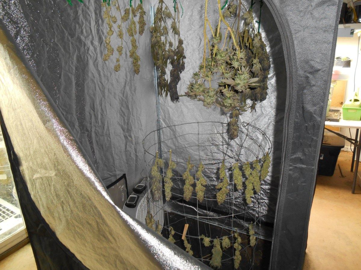 Dryingtent