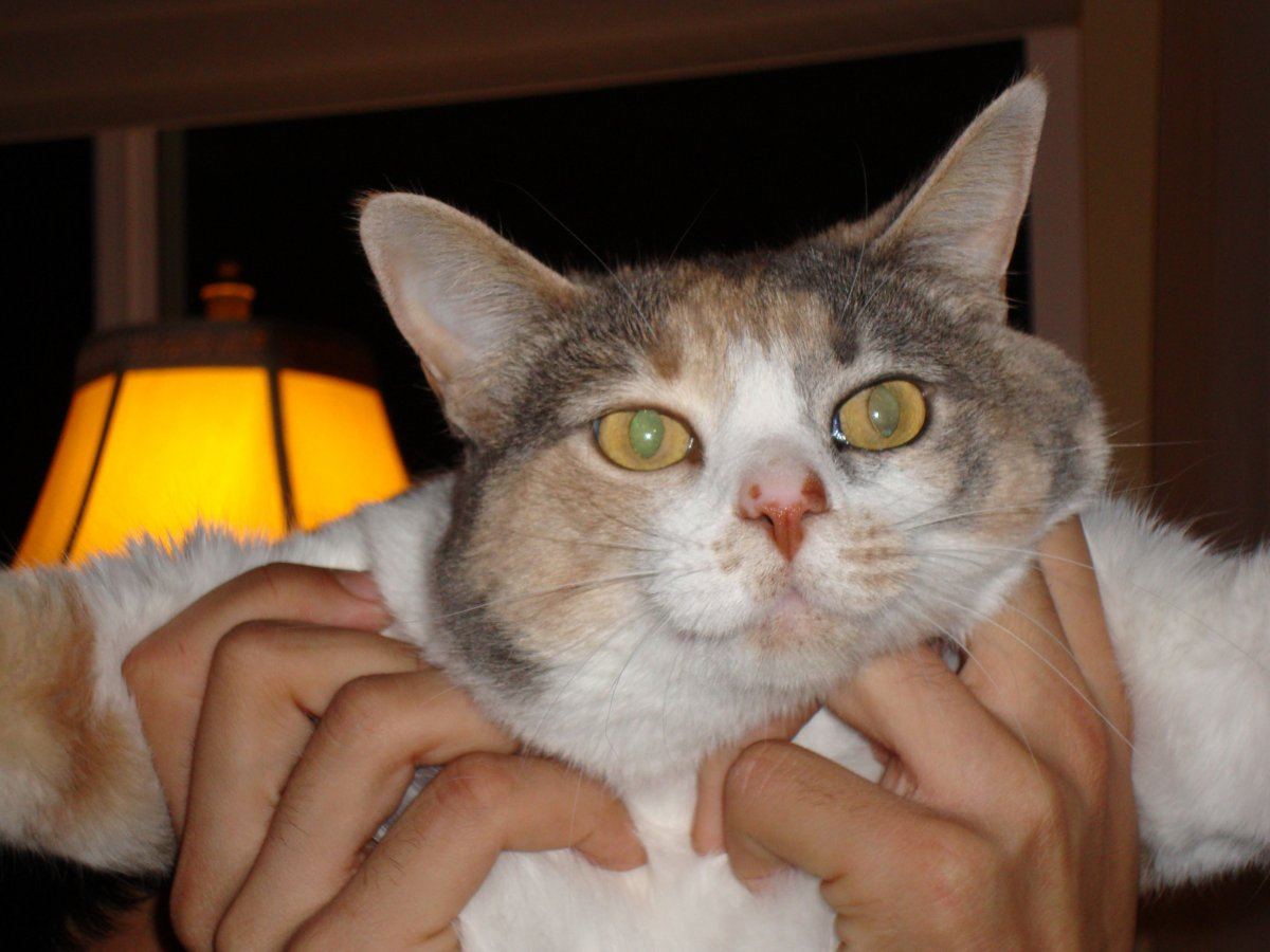 DSC00008