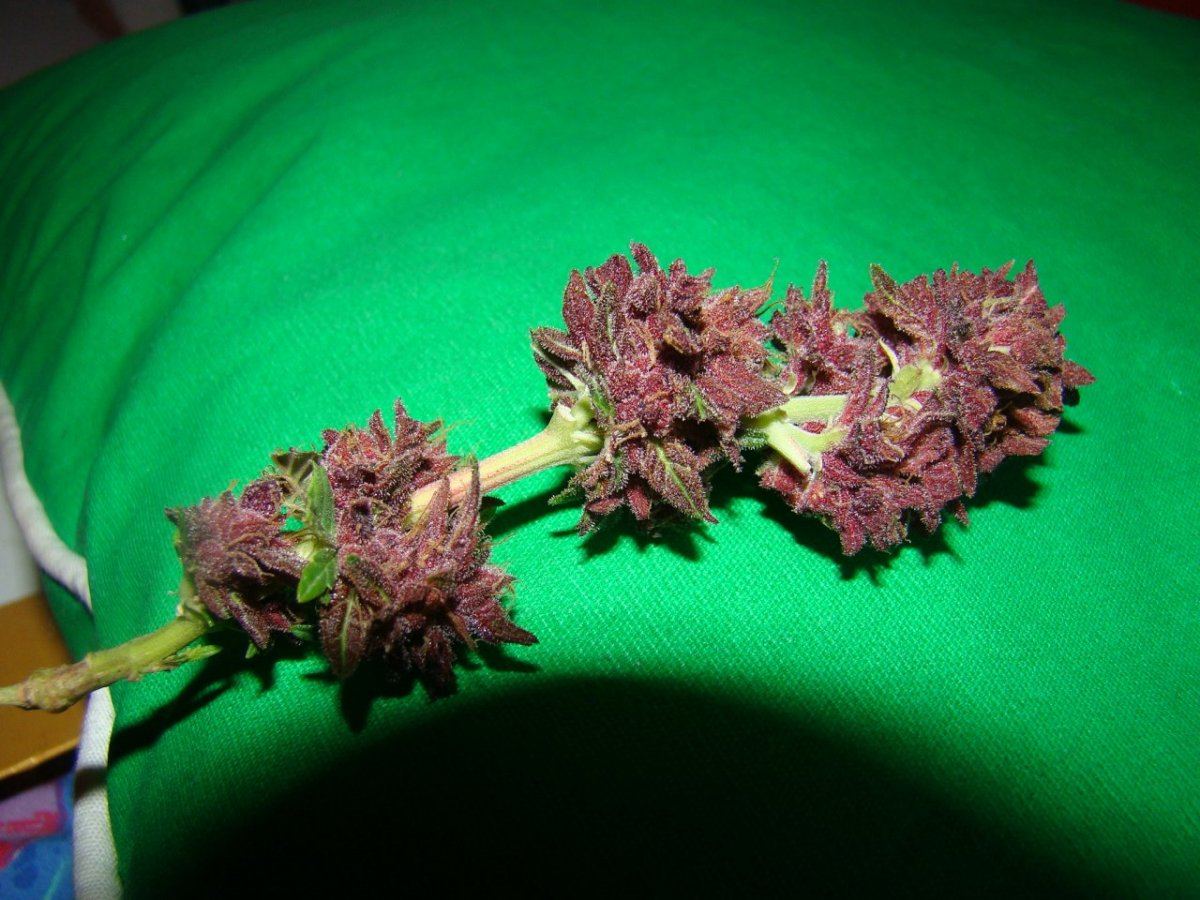 DSC00067