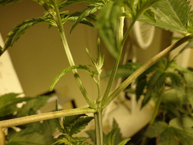 DSC00320