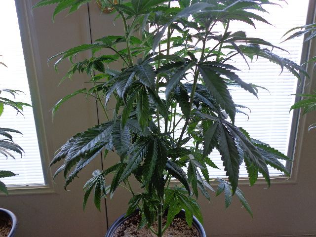 DSC00503