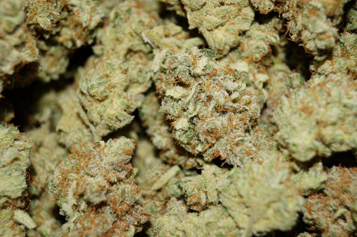 DSC00563 1280x852