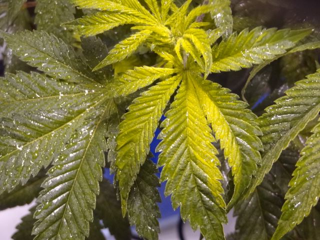 DSC00734