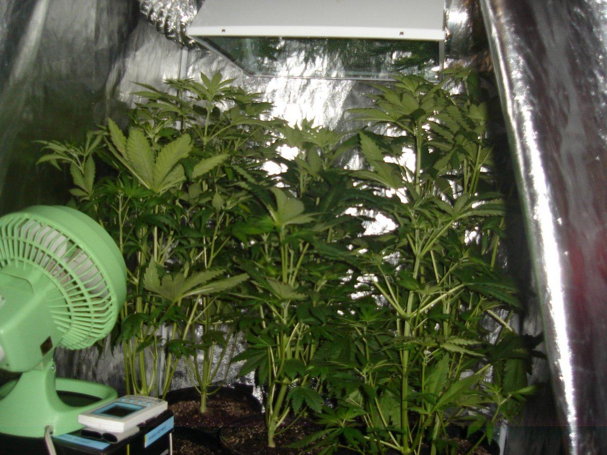 DSC00796