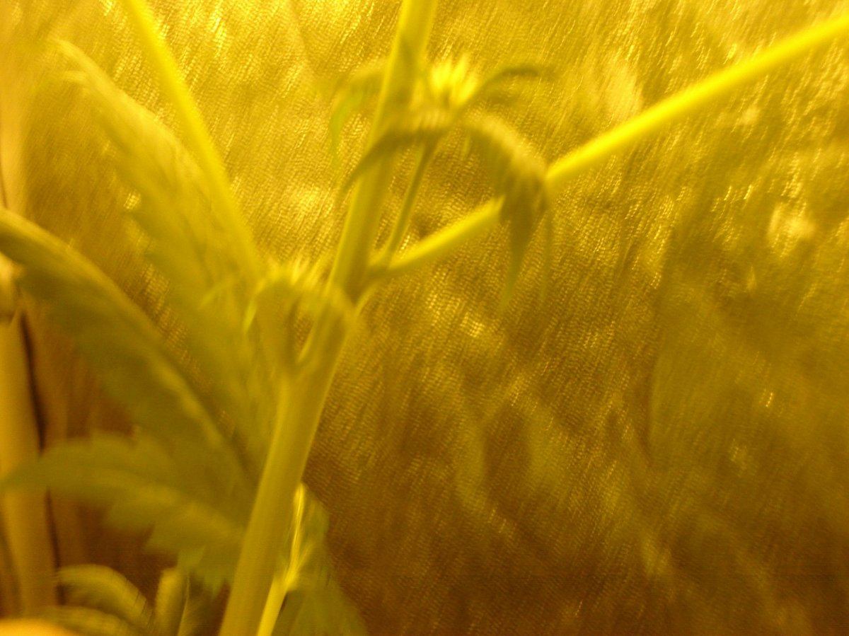 DSC00801
