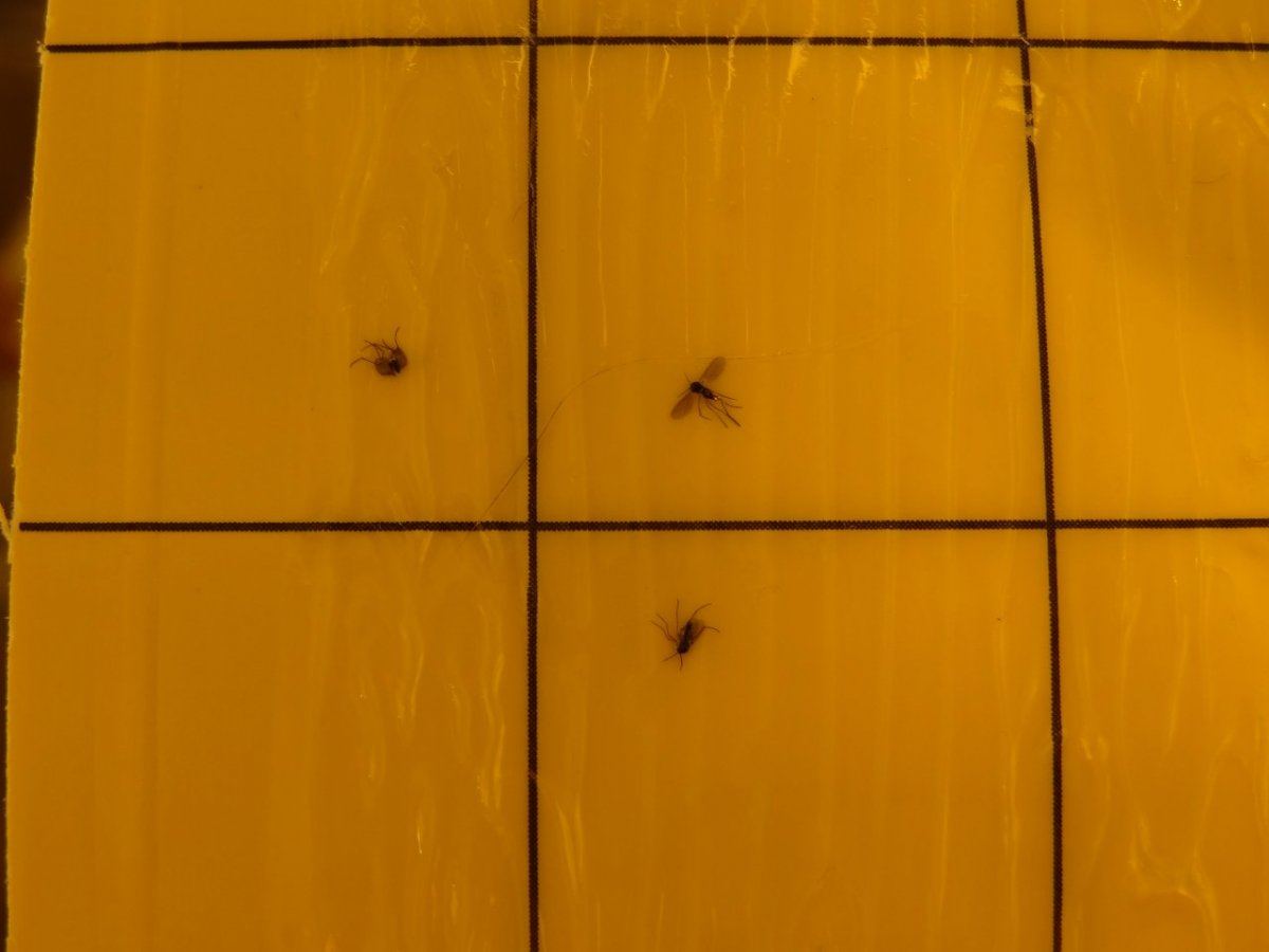 DSC00818