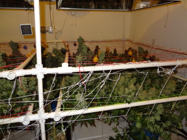 DSC01373
