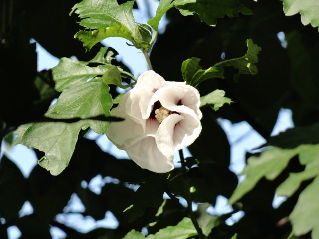 DSC01557