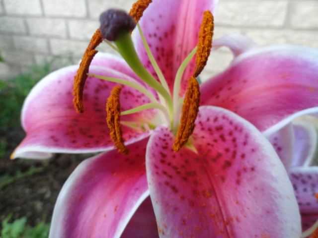 DSC01630
