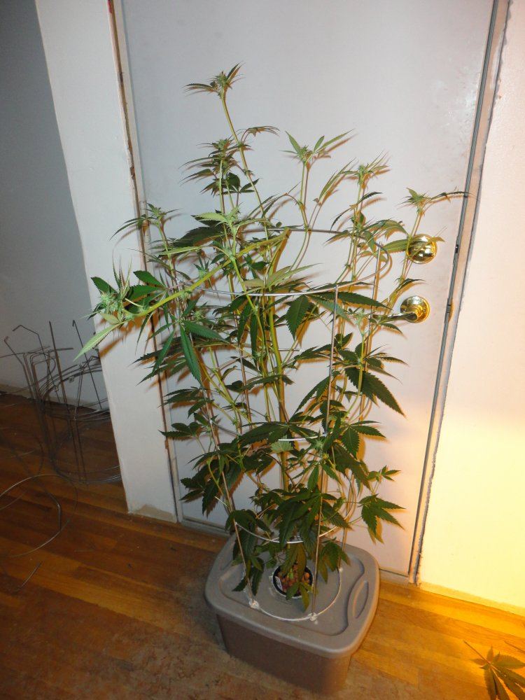 DSC01702