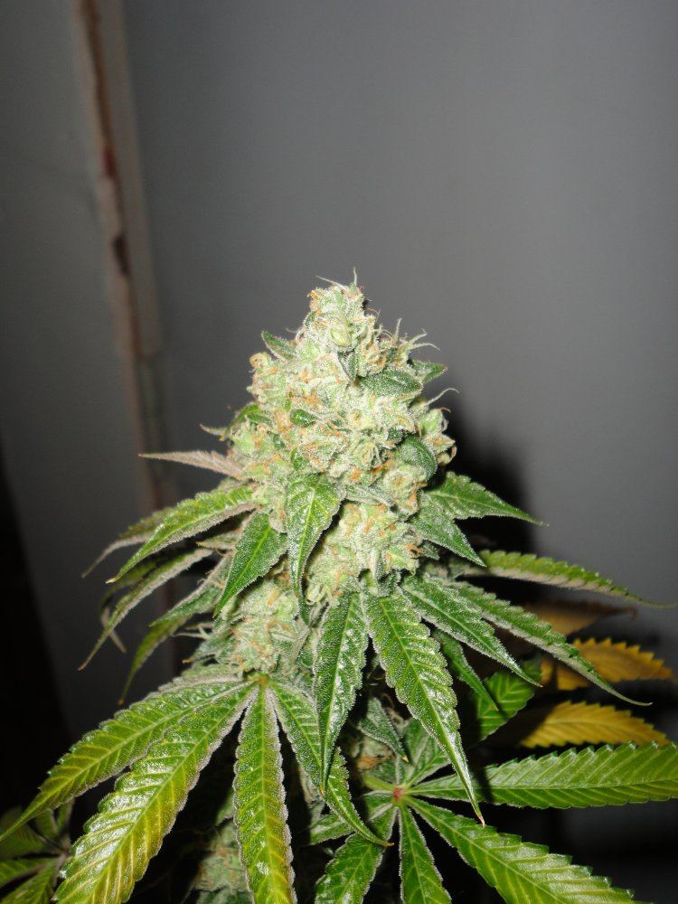 DSC01766