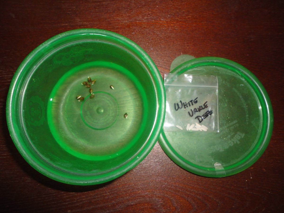 DSC01878