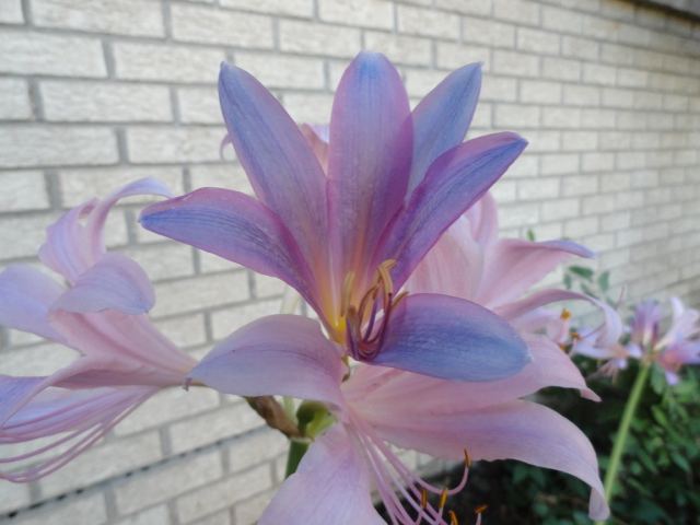 DSC02032