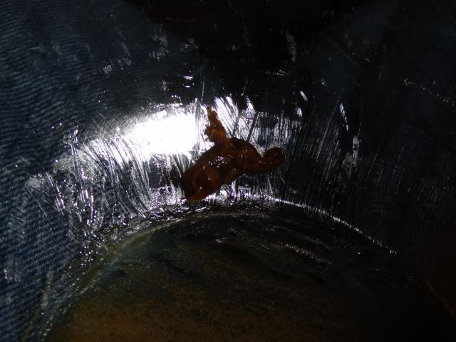 DSC02043