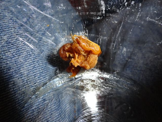 DSC02046