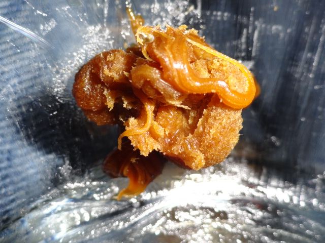 DSC02047