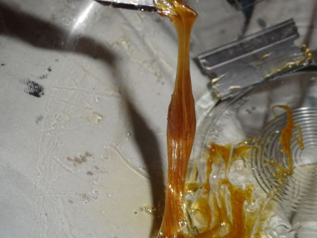 DSC02355