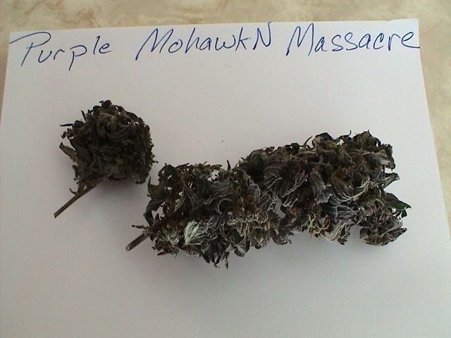 DSC02383
