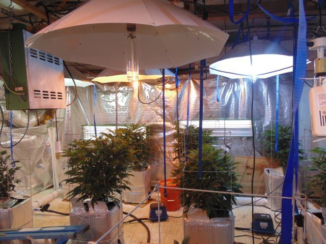 DSC02522