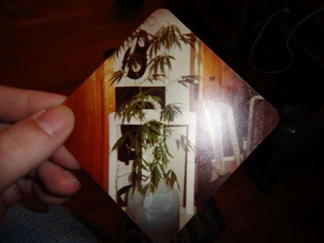 DSC02535