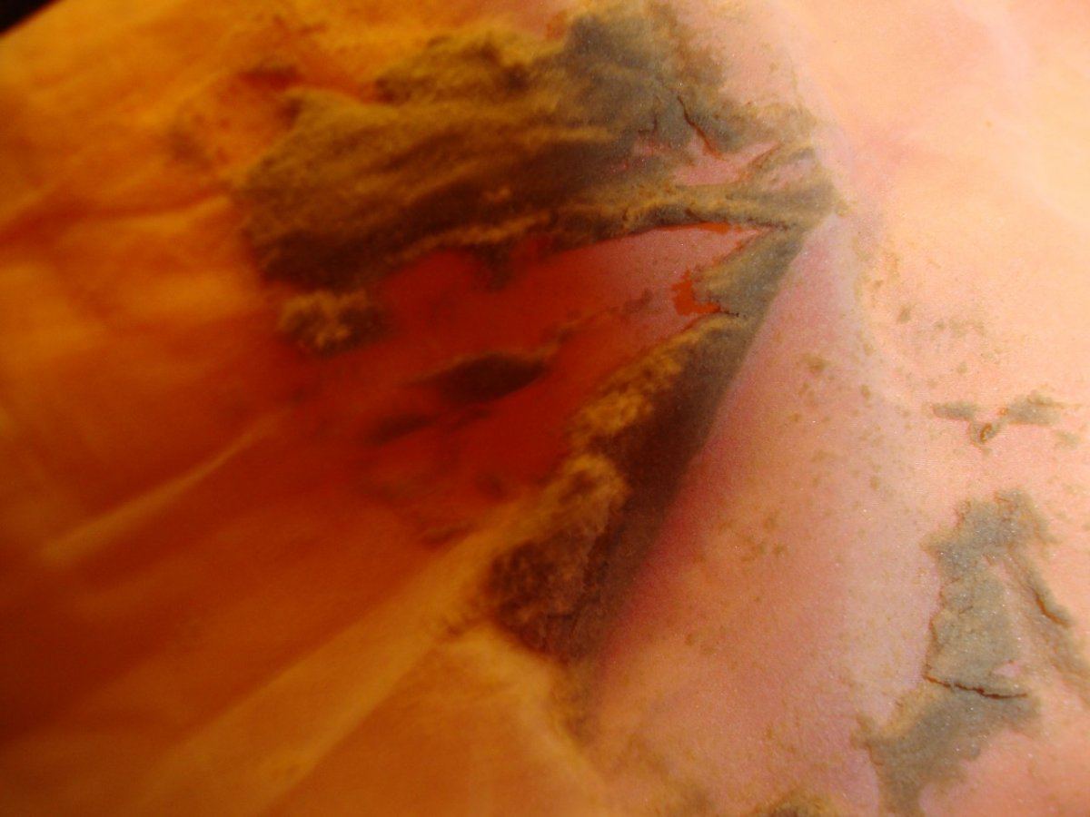 DSC02811