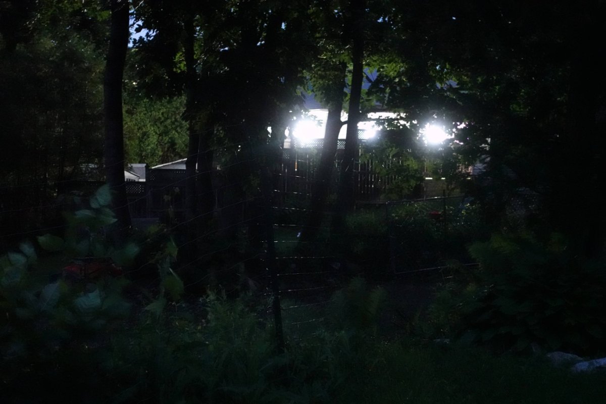 DSC02975a