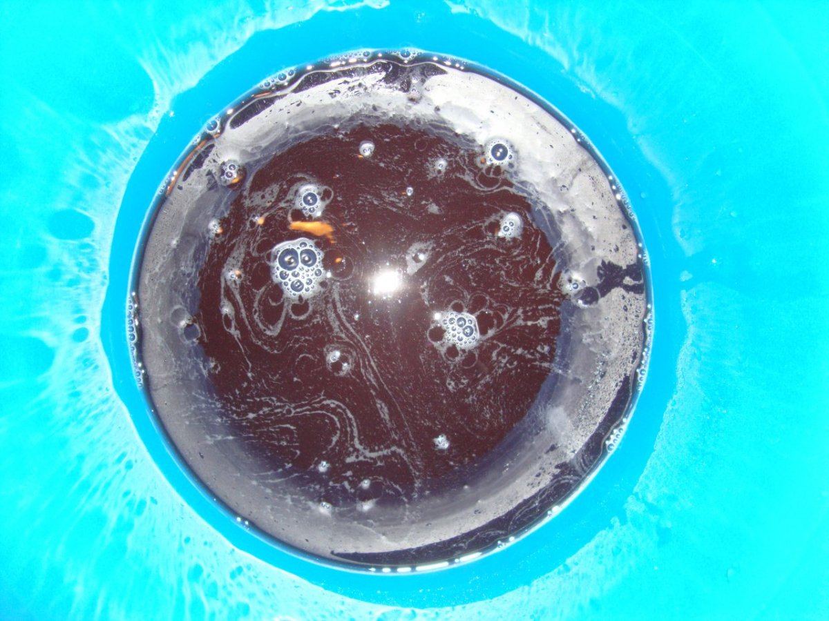 DSC03727