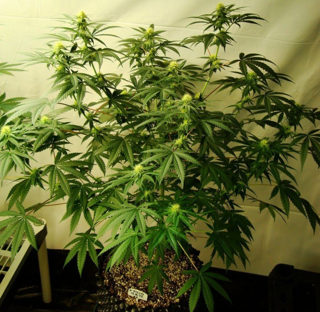 DSC03901