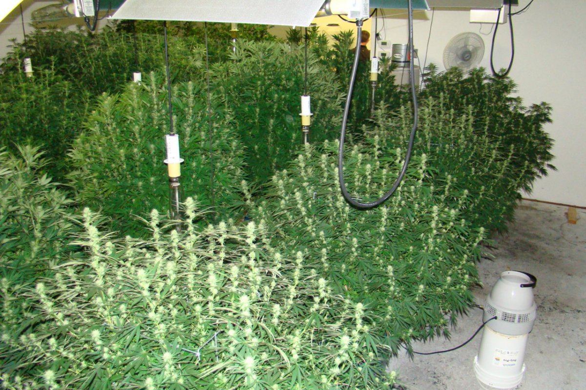 DSC04003