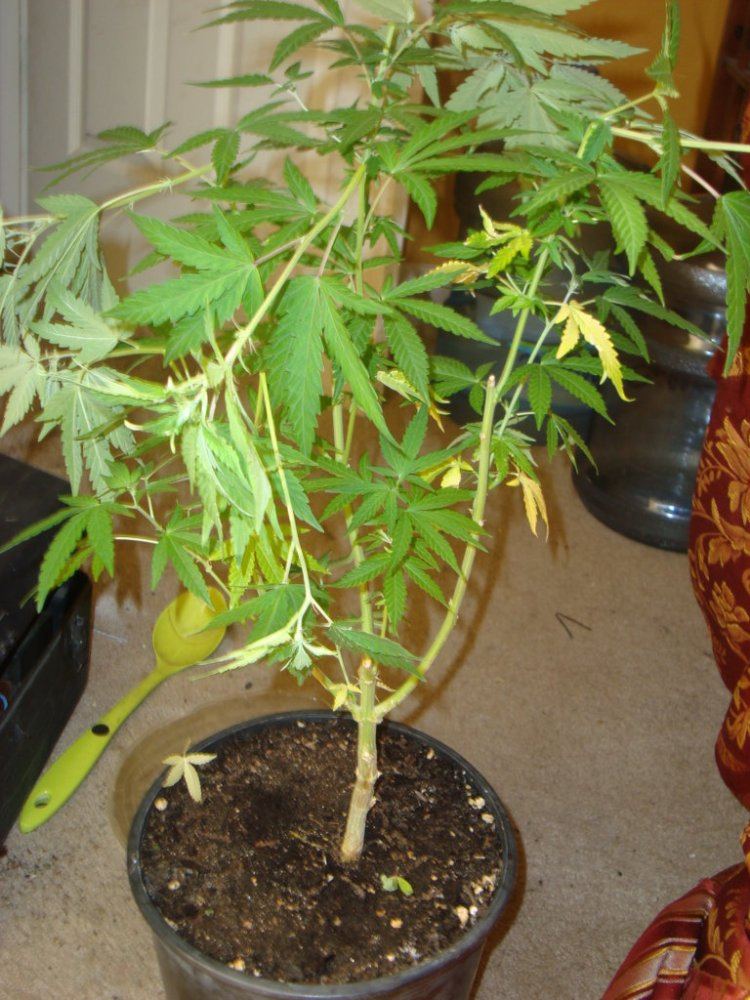 DSC04109
