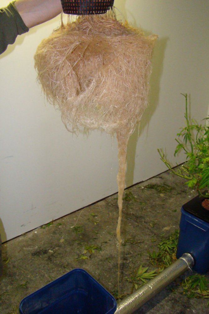 DSC04152