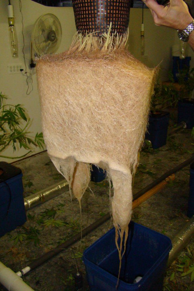 DSC04154